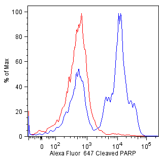 Cleaved_PARpP_647_tds_image.png